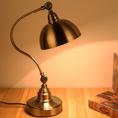 20'' Antique Metallic LED Desk Lamp with Adjustable Gooseneck for Task Lighting