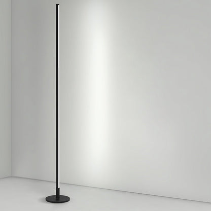 Minimalist Modern Strip LED Accent Floor Lamp