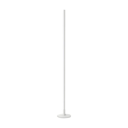 Minimalist Modern Strip LED Accent Floor Lamp